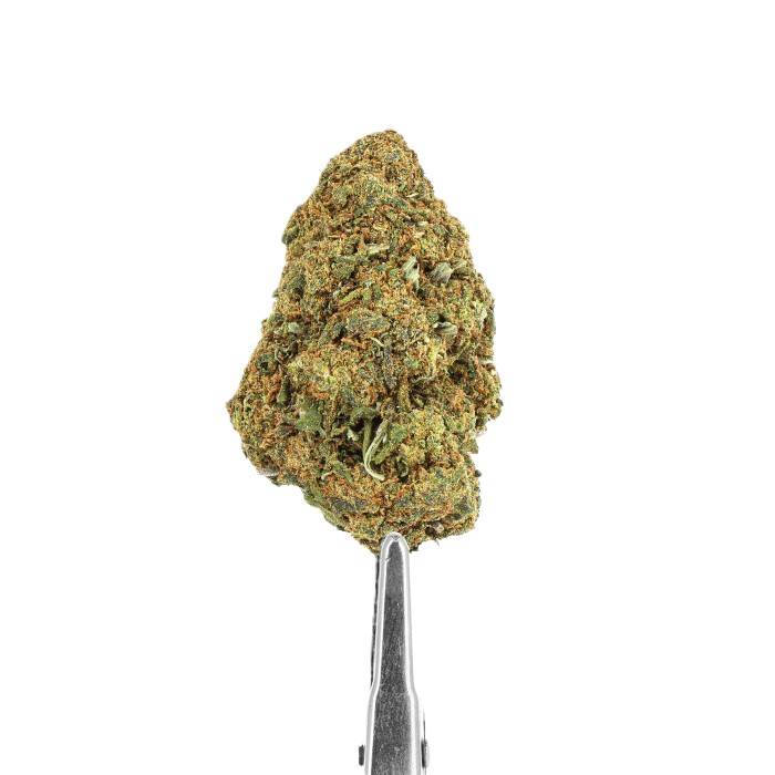  Blueberry  