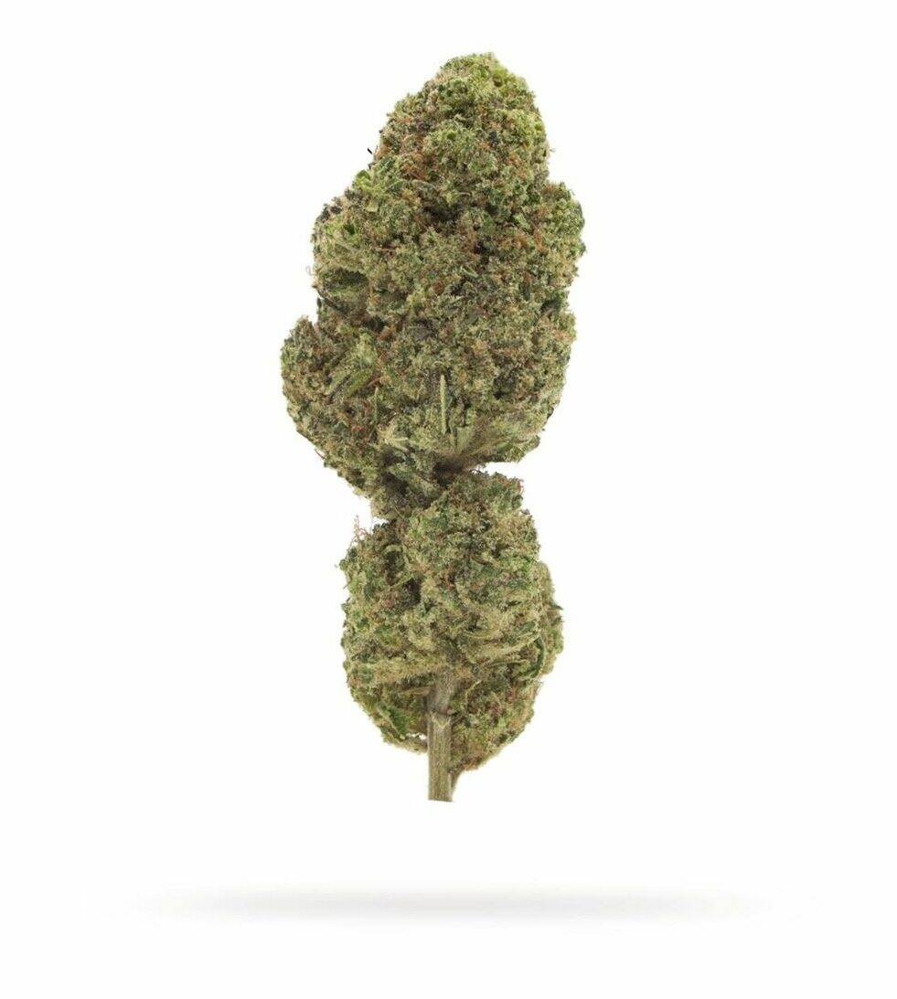  Amnesia Blue Dream 